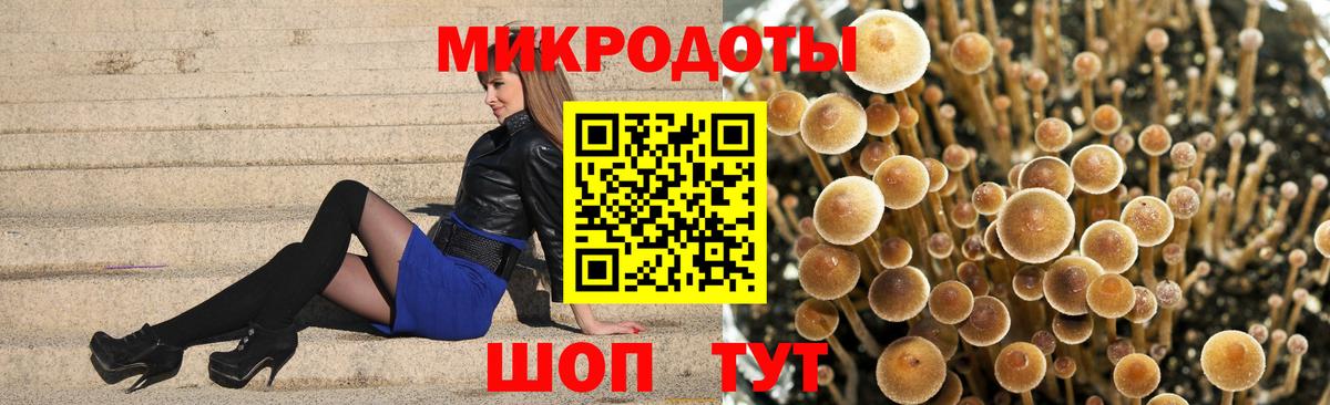 купить наркоту  Вход с VPN  Всеволожск  Галлюциногенные грибы MAGIC MUSHROOMS 